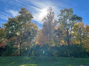 wooded views at Timber Glen Apartments, Batavia